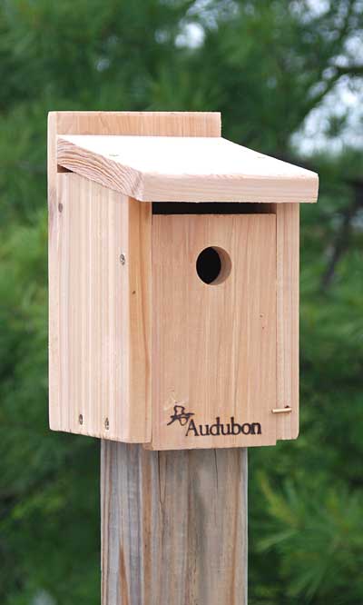 Birdhouse for Wrens & Chickadees www.wingandhive.com