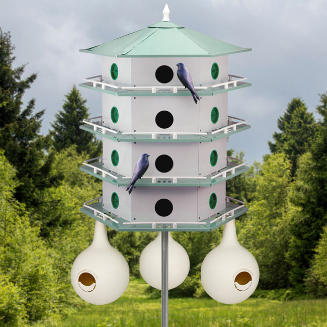 Purple Martin House & Gourds Kit, Deluxe 24-Room