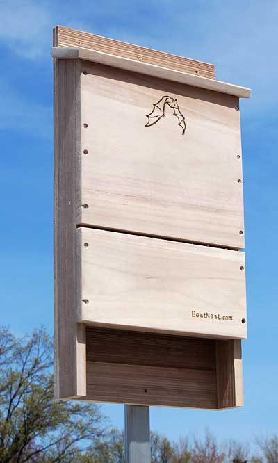 Bat House, Single-Celled (sized for up to 85 bats)