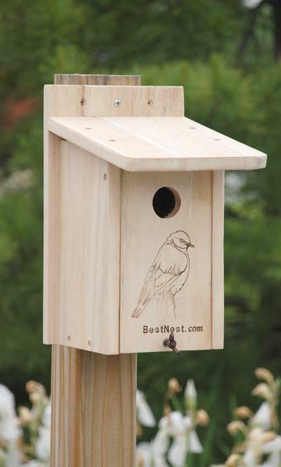 Birdhouse for Bluebirds, Classic Design www.wingandhive.com