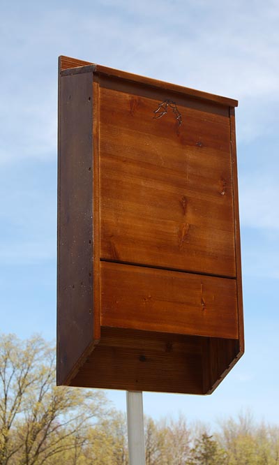 Bat House, The Super-Size Dark Brown One (sized for up to 400 bats)