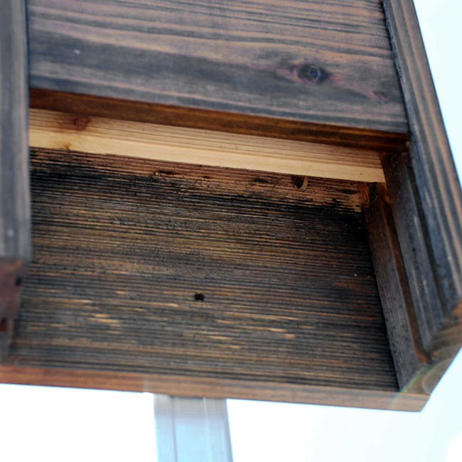 close up of Bat House, Dark Brown, Up to 65 bats www.wingandhive.com