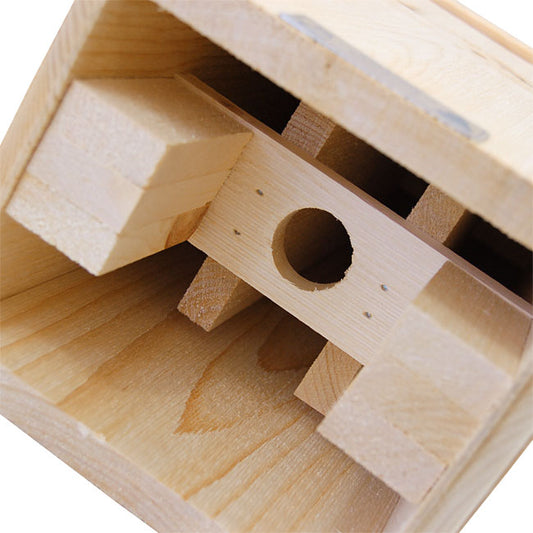 Bat House, The Nocturnal Retreat underside view