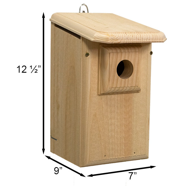 Birdhouse, Western Bluebird House with Observation Window