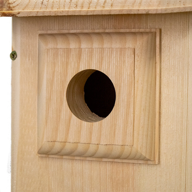 Birdhouse, Western Bluebird House with Observation Window