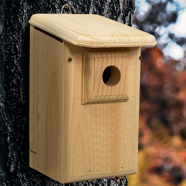 Birdhouse, Western Bluebird House with Observation Window