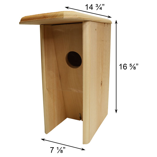 measurements for Birdhouse, A Starling Resistant Flicker House www.wingandhive.com