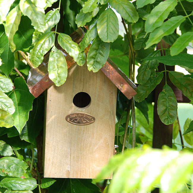 Birdhouse, Antique Wash Wren Home w/Copper Colored Roof