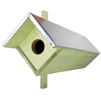 Birdhouse for Owls or Kestrels, Extended www.wingandhive.com