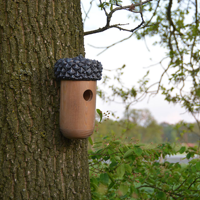 shown on a tree Birdhouse For Smaller Birds, Acorn Shaped and Adorable! www.wingandhive.com