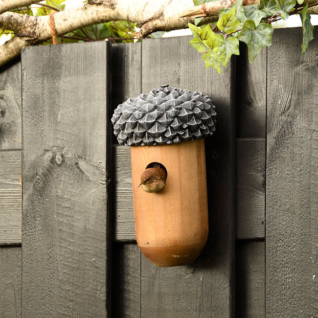 shown on a fence with a bird, Birdhouse For Smaller Birds, Acorn Shaped and Adorable! www.wingandhive.com