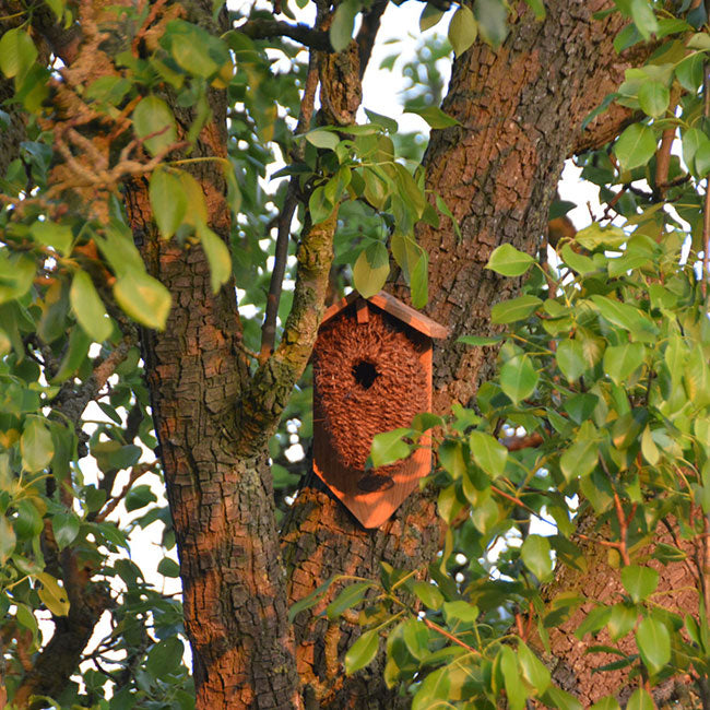 in the tree, Birdhouse, Bird Nest Roosting Pocket, SUPER CUTE! www.wingandhive.com