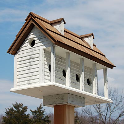 Purple Martin House, The Martinsburg Manor