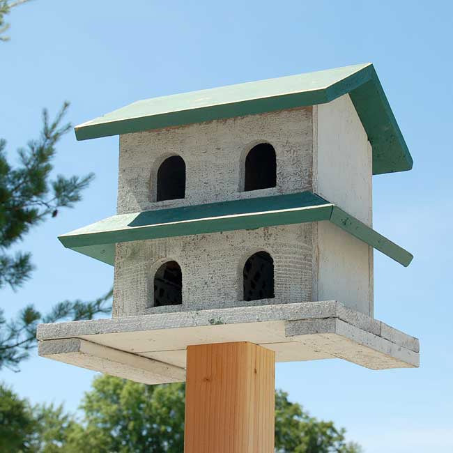 Purple Martin House, The Hanover