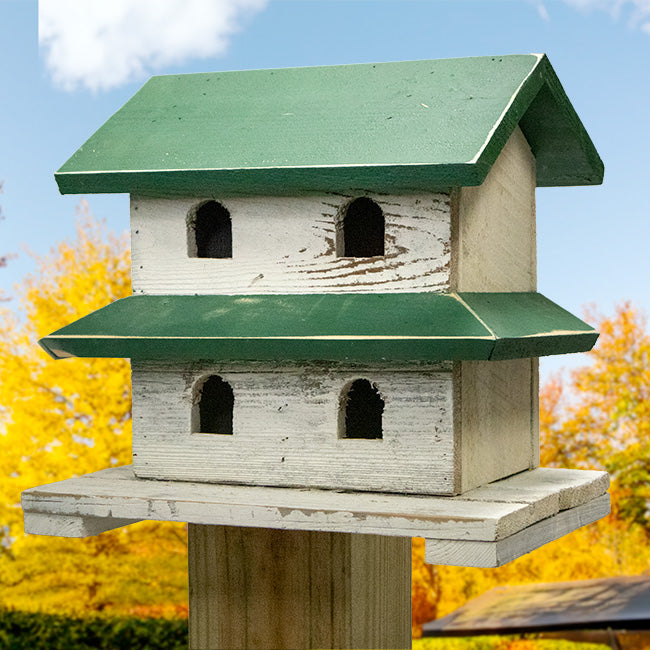 Purple Martin House, The Hanover