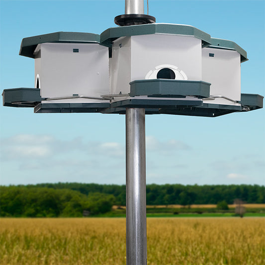 Heritage Farms Quad Pod Purple Martin House, 1 level