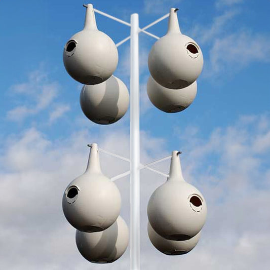 Purple Martin Home, The Nest Nook 8-Pack shown on poles outside