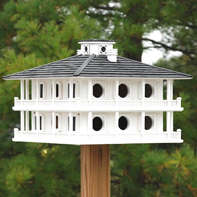 Purple Martin House, The Clubhouse