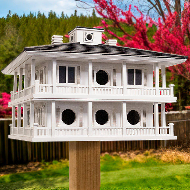 Purple Martin House, The Clubhouse