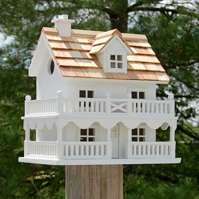 Birdhouse, Novelty Cottage