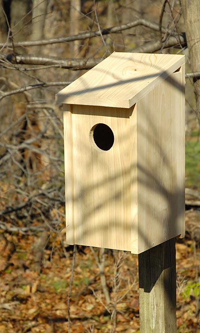 Owl House, The Moonrise Roost mounted on post