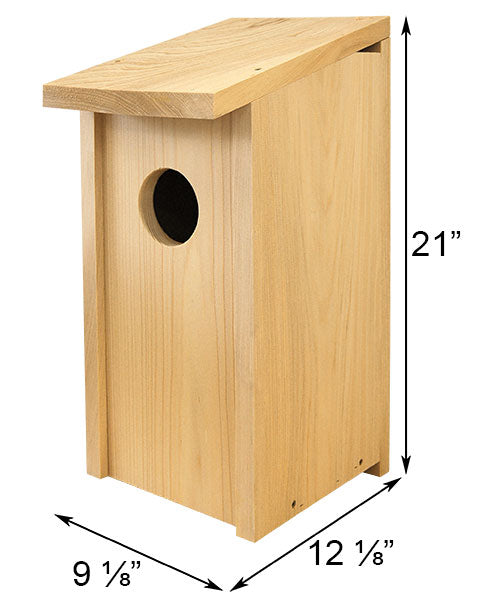 Owl House, The Moonrise Roost measurements