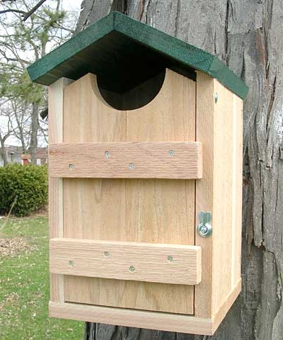 Birdhouse for Screech Owls and Kestrels www.wingandhive.com