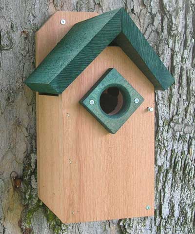 Bluebird Birdhouse, The One With The Green Roof