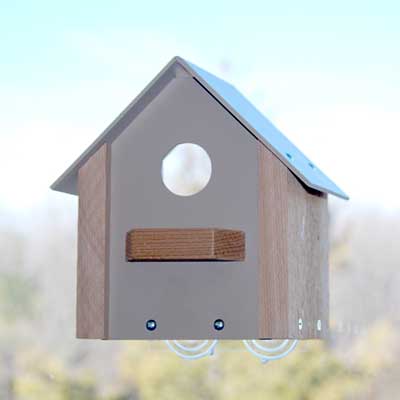 Birdhouse With A View
