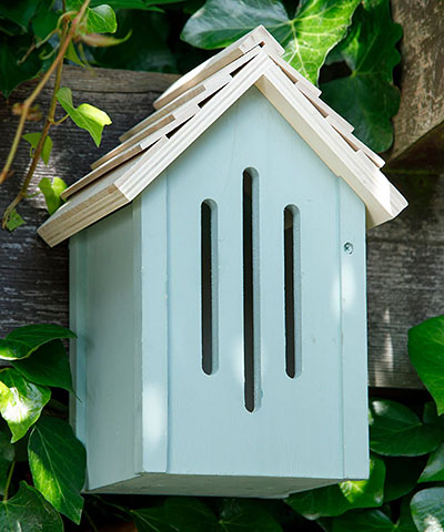 Butterfly House, The Butterfly Barn