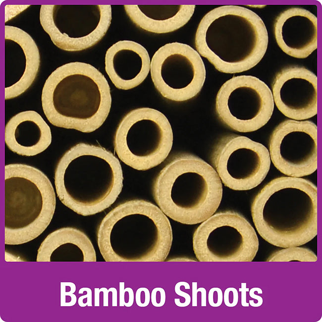 bamboo nesting tubes for bees