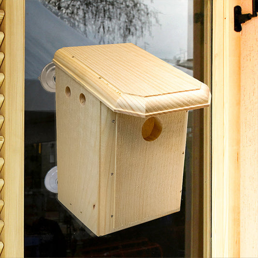 Birdhouse, The Bird's Eyeview
