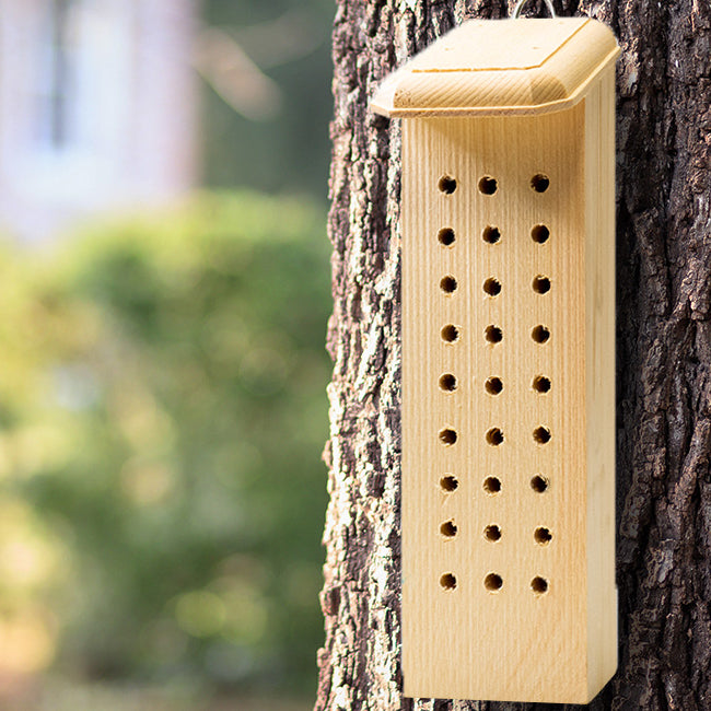 Outdoor view of Simple Bee Nesting House