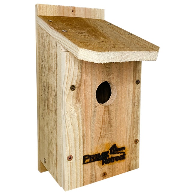 Birdhouse, DIY Bluebird House | Pollinator Shelter in Cedar | Wing and Hive