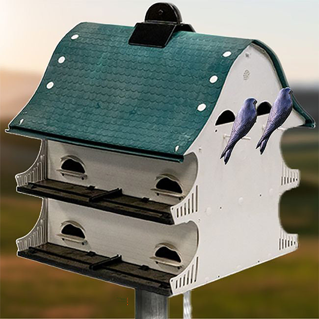 Purple Martin Home, The Skyward Martins outside on pole