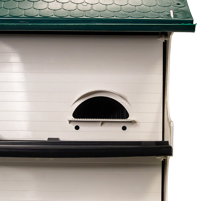 Purple Martin Home, The Skyward Martins entry