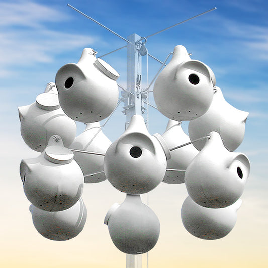 Purple Martin Gourds, The Sky Pod I