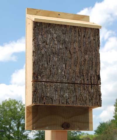 Uncle Dunkel's Triple Chamber Bark Clad Bat House (sized for up to 300 bats)