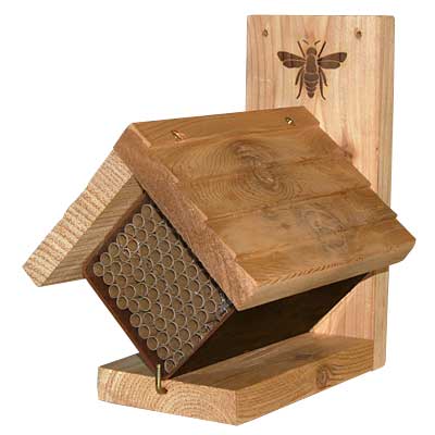 Bee Nesting Home Classic Design with Frame www.wingandhive.com