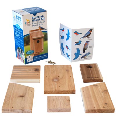 DIY Bluebird Birdhouse Kit