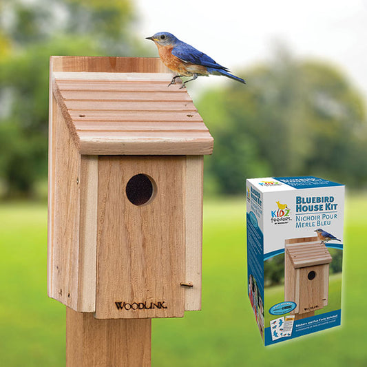DIY Bluebird Birdhouse Kit