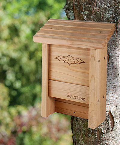 Bat House, The Medium DIY Kit viewed outside on a tree