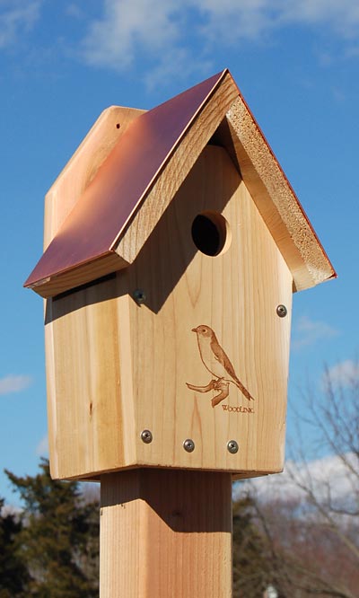 Bluebird Birdhouse, The One With The Coppertop