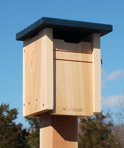 Bluebird Birdhouse, The One With The Blue Roof