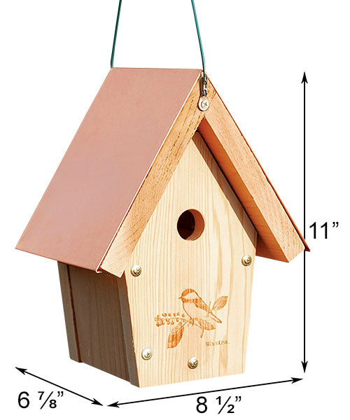 Birdhouse, The Coppertop Chickadee