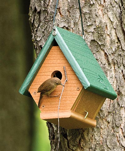 Birdhouse, The Hanging Wren House Going Green