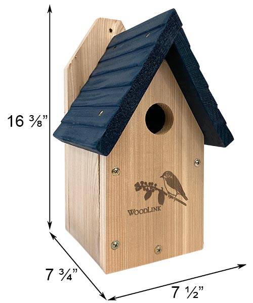 Dimensions of Bluebird house