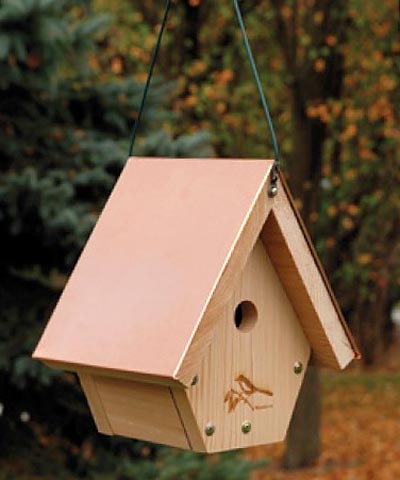 Birdhouse, The Coppertop