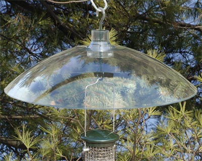 Baffle for Bird Feeders, Clear Plastic Weather Shield www.wingandhive.com