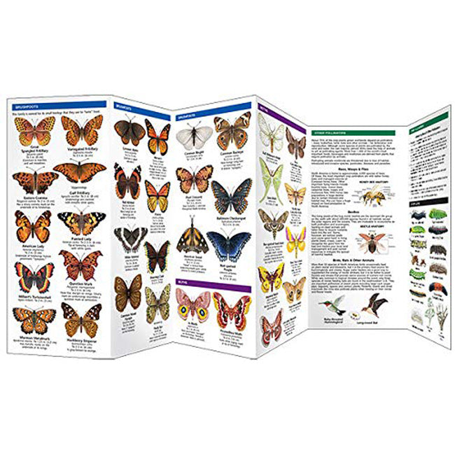 Waterford Press Butterflies & Pollinators Booklet